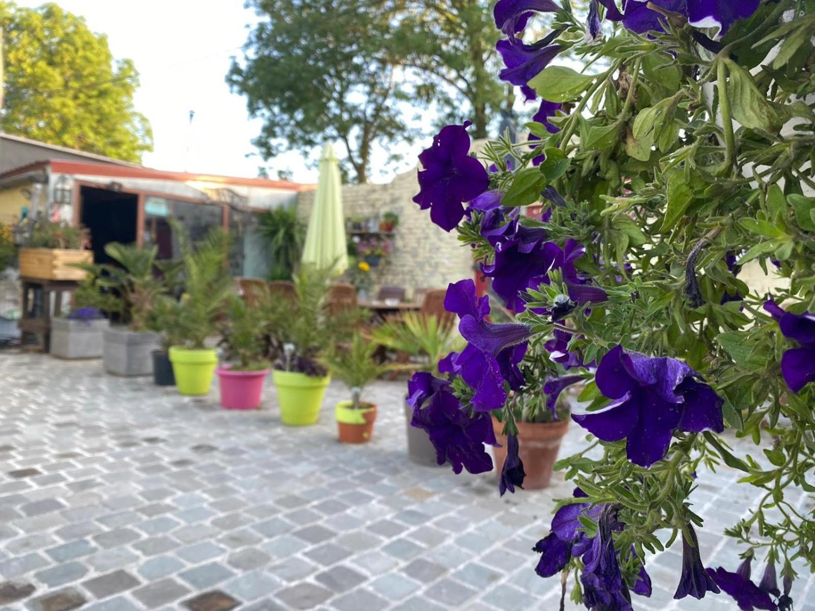 Le Relais De La Posterie Guest House Gembloux Exterior photo